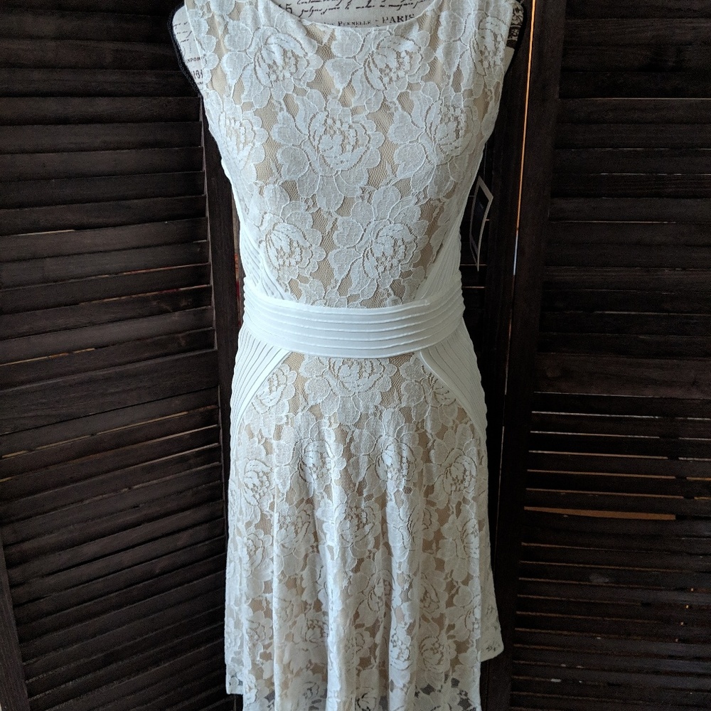 New! Julian Taylor Lace A-Line Dress-6